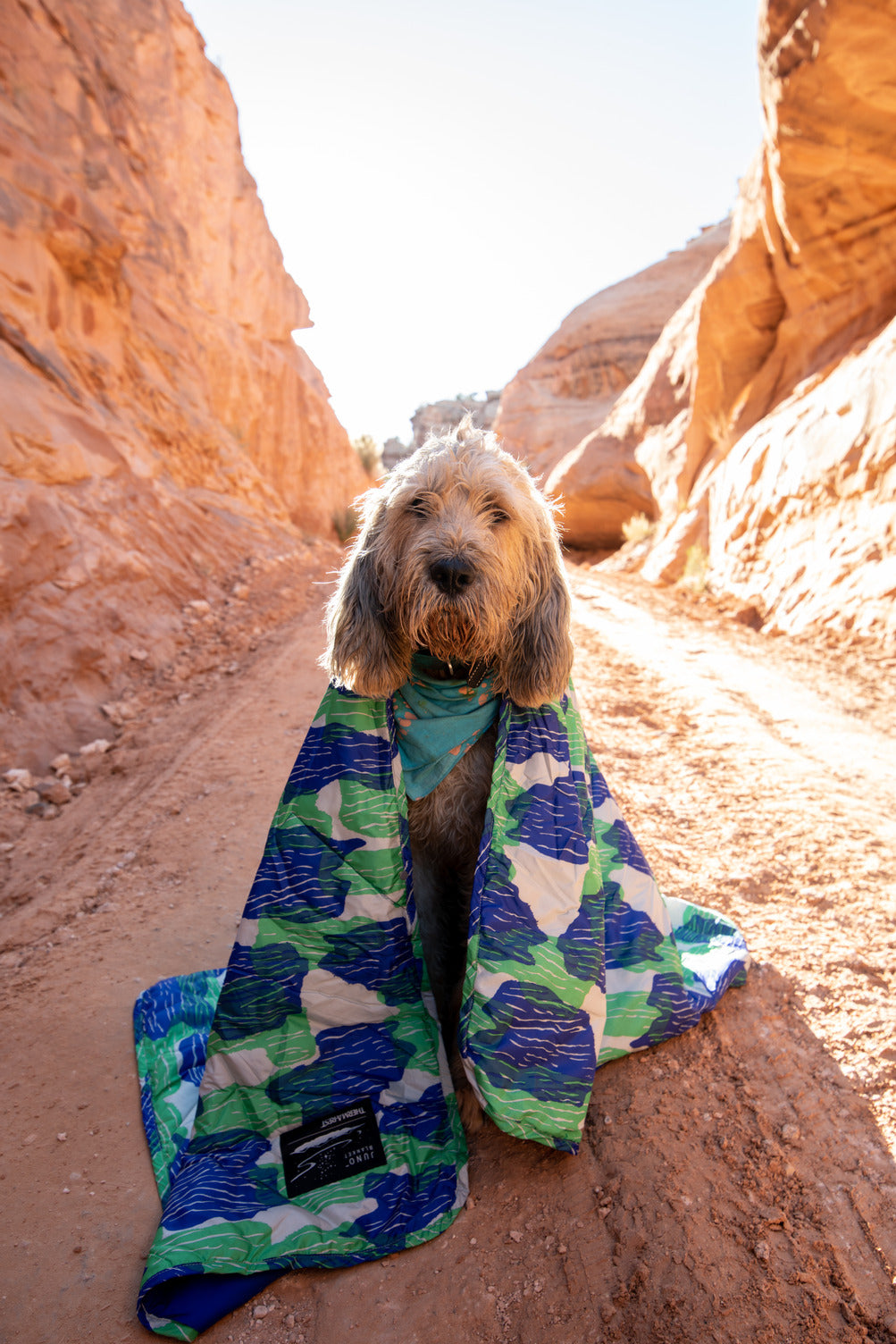 Thermarest Juno Blanket Tide Pool