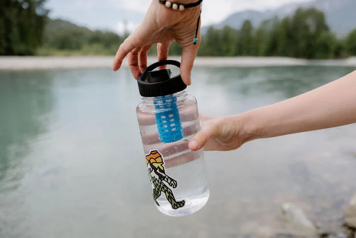 Platypus Daycap In Bottle Filter