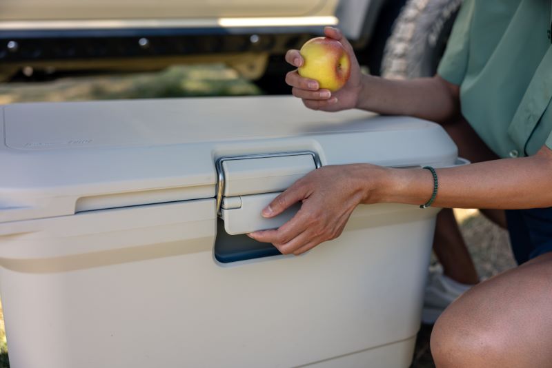 Coleman PRO 45QT Cool Box