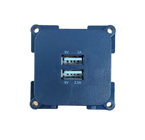 C-Line Double USB Socket