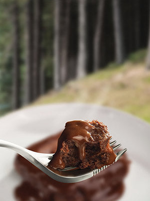 Wayfayrer Chocolate Pudding