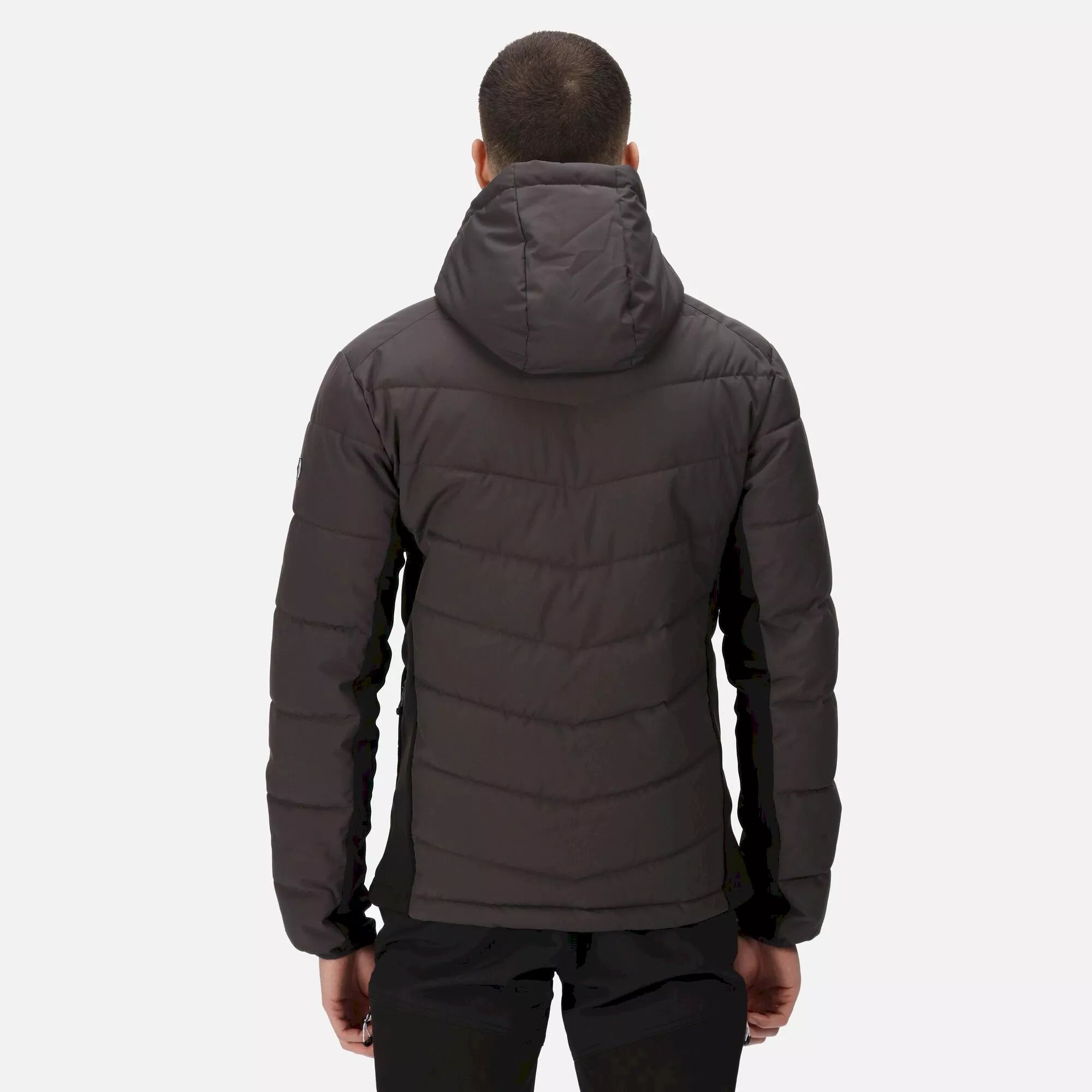 Regatta Men's Cranmore Padded Jacket | Ash
