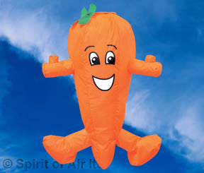 Spirit of Air Carrot Windsock