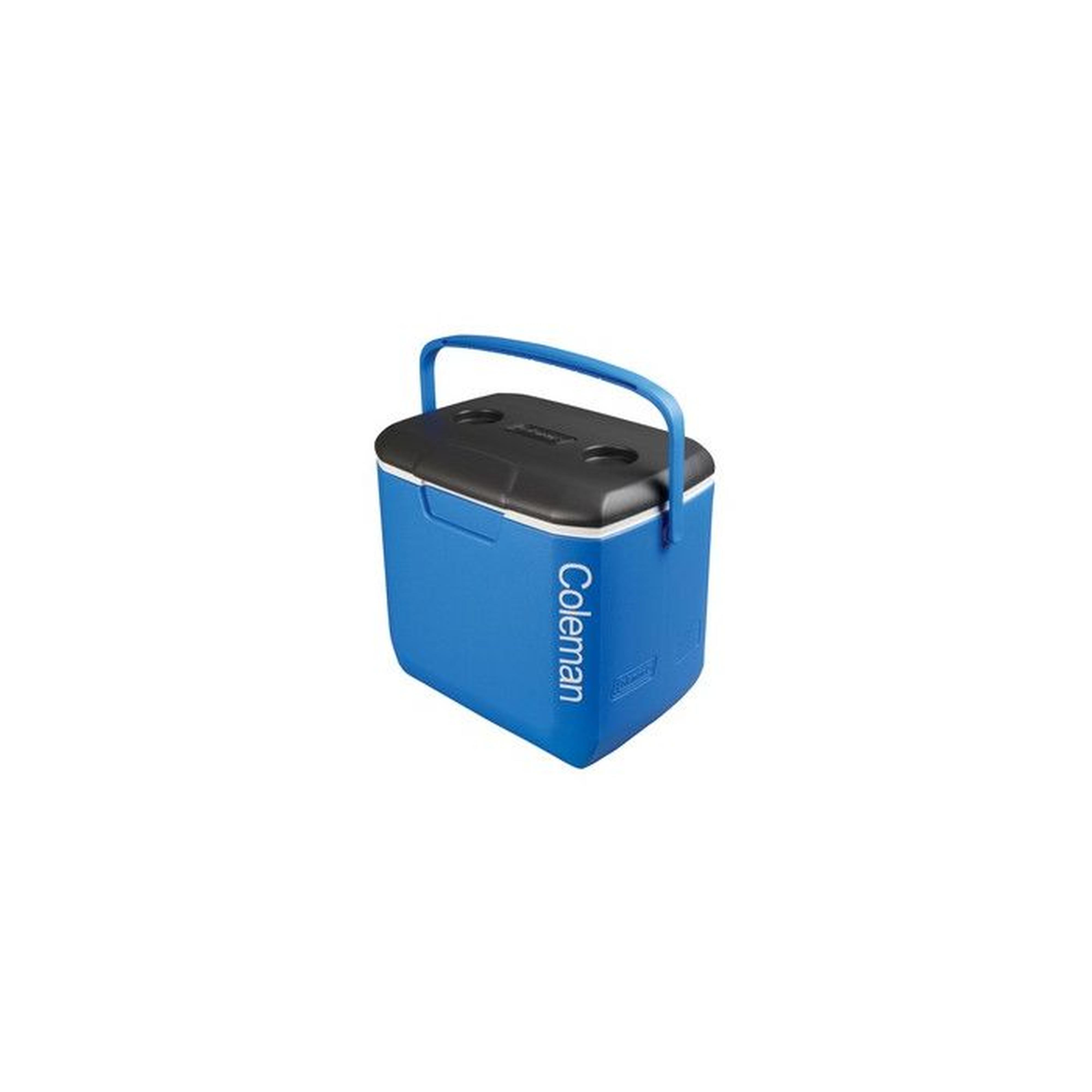 coleman performance 30 qt cool box