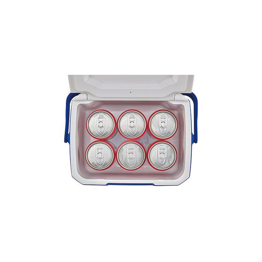 Coleman Performance 5QT  Mini Cool Box