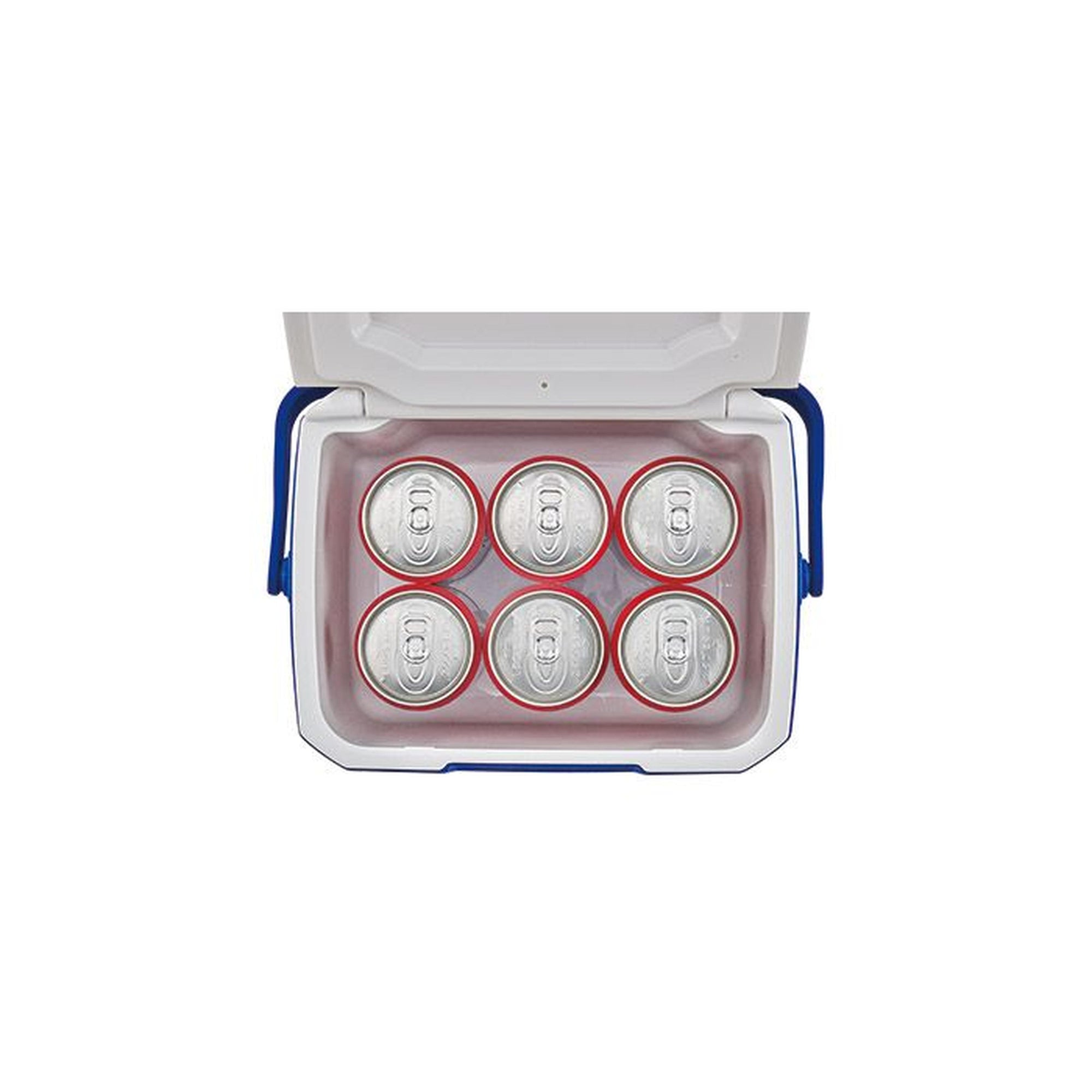 Coleman Performance 5QT  Mini Cool Box