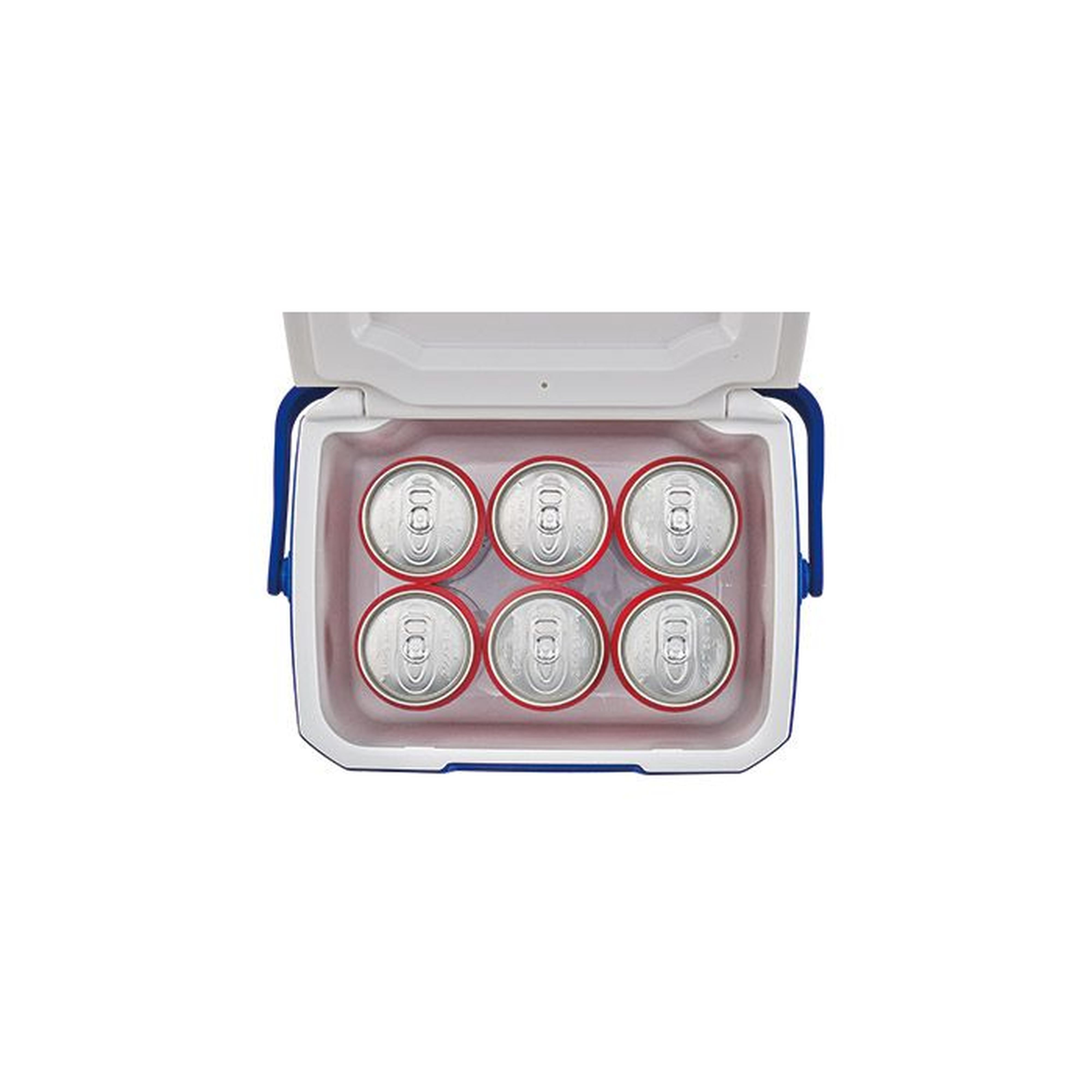 Coleman Performance 5QT  Mini Cool Box