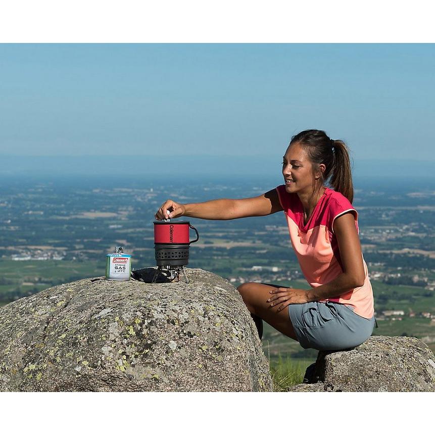 Coleman Fyrestorm PCS Gas Stove