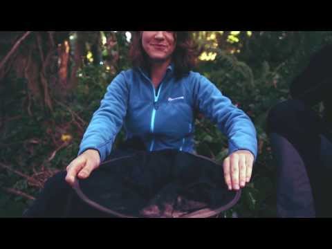 Lifesystems Midge & Mosquito Head Net