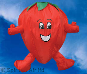 Spirit of Air Strawberry Windsock